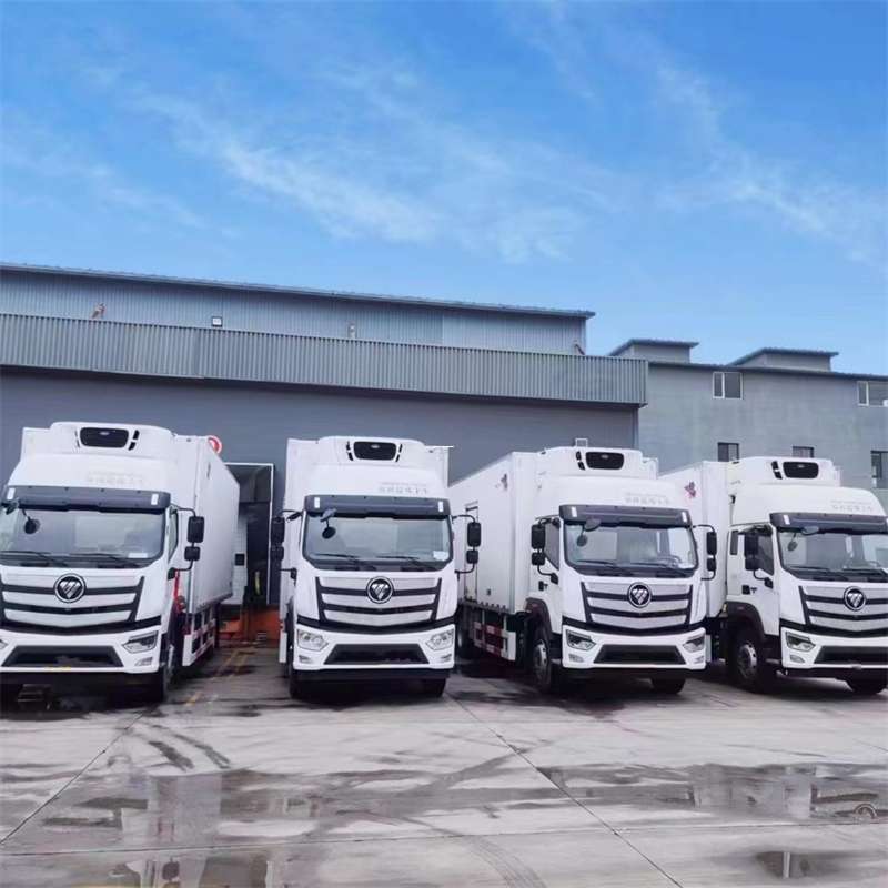 仲巴县新龙县进仓物流：多元专线直达运输探秘