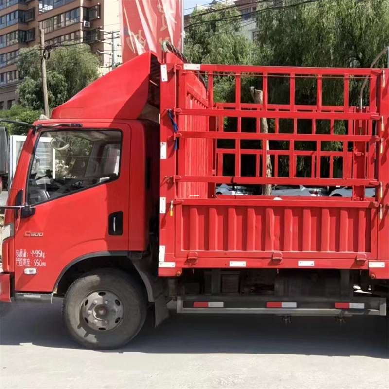 仲巴县雅安市物流专线：大件出口快运的多维探索